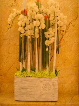 Amir Shirzadi, Wuhan University of Science and Technology, phase transformations and complex properties research group