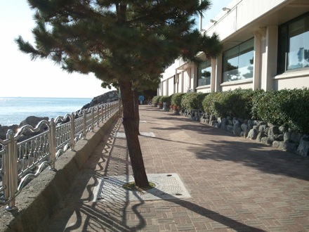 Busan,computational metallurgy laboratory,steel,GIFT, Graduate Institute of Ferrous Technology, POSTECH, South Korea