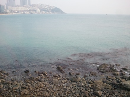 Busan,computational metallurgy laboratory,steel,GIFT, Graduate Institute of Ferrous Technology, POSTECH, South Korea