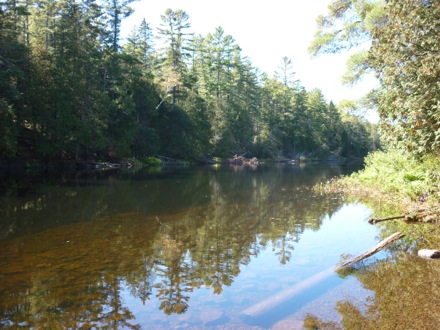 Tim Ramjaun,Chalk River, weld metal, phase transformations and complex properties research group