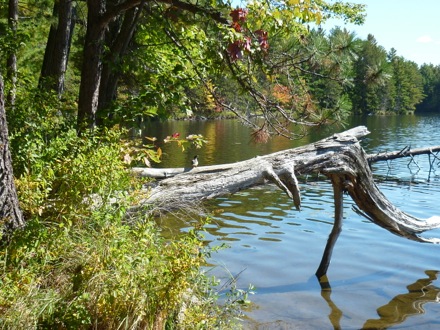 Tim Ramjaun,Chalk River, weld metal, phase transformations and complex properties research group