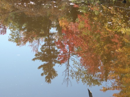 Tim Ramjaun,Chalk River, weld metal, phase transformations and complex properties research group