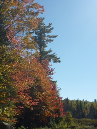 Tim Ramjaun,Chalk River, weld metal, phase transformations and complex properties research group