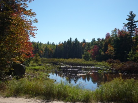 Tim Ramjaun,Chalk River, weld metal, phase transformations and complex properties research group