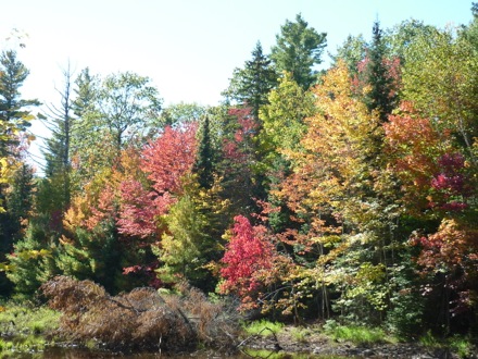 Tim Ramjaun,Chalk River, weld metal, phase transformations and complex properties research group