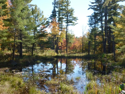 Tim Ramjaun,Chalk River, weld metal, phase transformations and complex properties research group