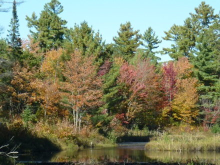 Tim Ramjaun,Chalk River, weld metal, phase transformations and complex properties research group