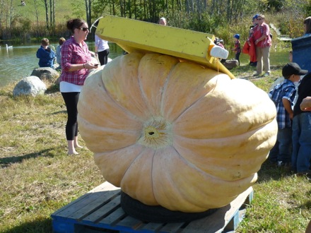 Tim Ramjaun,Chalk River, weld metal, phase transformations and complex properties research group
