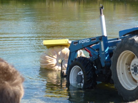 Tim Ramjaun,Chalk River, weld metal, phase transformations and complex properties research group