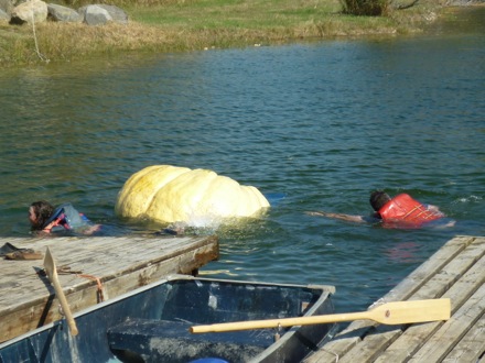Tim Ramjaun,Chalk River, weld metal, phase transformations and complex properties research group