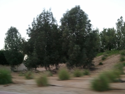 Harry Bhadeshia in Dubai,  5th Workshop organised by the Ras Al Khaimah Centre for Advanced Materials