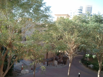 Harry Bhadeshia in Dubai,  5th Workshop organised by the Ras Al Khaimah Centre for Advanced Materials