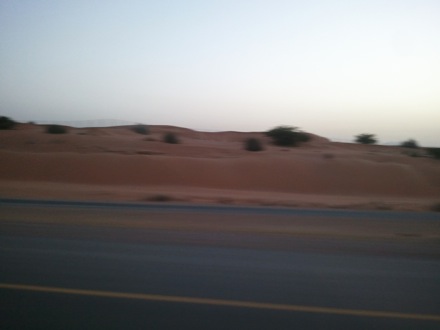 Harry Bhadeshia in Dubai,  5th Workshop organised by the Ras Al Khaimah Centre for Advanced Materials