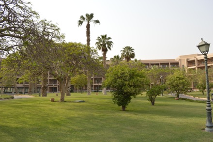 Hector Pous, Andrea Sanchez Valencia, Egypt, PT GRoup, Phase transformations and complex properties