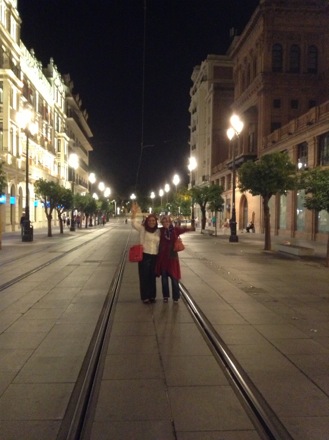 Phase transformations and complex properties research group, Hala Salman Hasan in Spain, EUROMAT, 2013