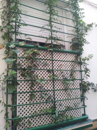 Phase transformations and complex properties research group, Hala Salman Hasan in Spain, EUROMAT, 2013