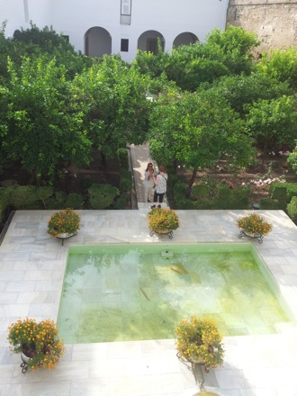 Phase transformations and complex properties research group, Hala Salman Hasan in Spain, EUROMAT, 2013