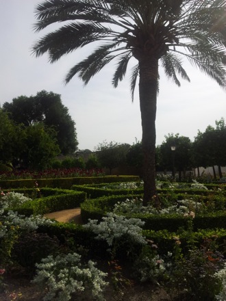 Phase transformations and complex properties research group, Hala Salman Hasan in Spain, EUROMAT, 2013