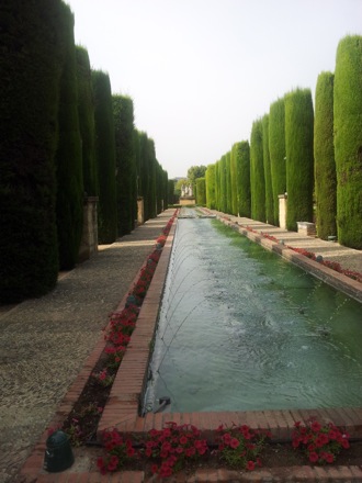 Phase transformations and complex properties research group, Hala Salman Hasan in Spain, EUROMAT, 2013