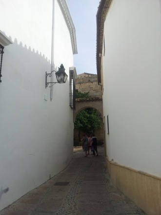 Phase transformations and complex properties research group, Hala Salman Hasan in Spain, EUROMAT, 2013