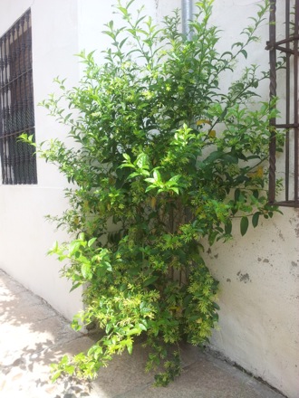 Phase transformations and complex properties research group, Hala Salman Hasan in Spain, EUROMAT, 2013