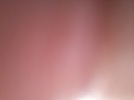 Ronaldo Barbosa, Yan Pei, Brian Edy, Tata Steel, Kazutoshi Ichikawa, Nippon Steel, pink Kit Kat, Darwin College