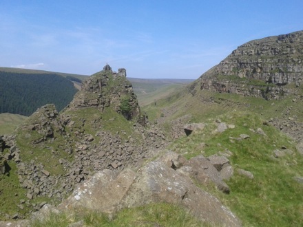 Harry Bhadeshia, bird guard, swans, Hector Pous, Seo, Seung-Woo, leaves