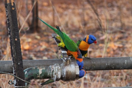 Lucy Fielding in Australia,Phase transformations and complex properties research group, steels, metallurgy