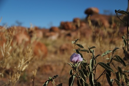 Lucy Fielding in Australia,Phase transformations and complex properties research group, steels, metallurgy