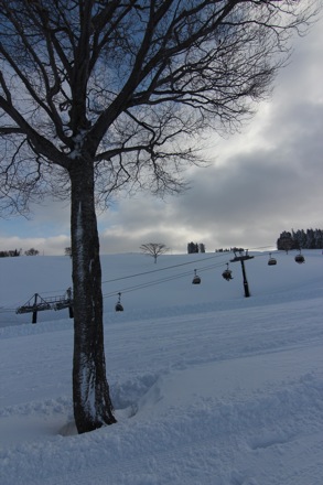 Lucy Fielding, PT GROUP, Cambridge University, Japan