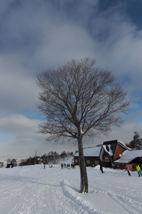 Lucy Fielding, PT GROUP, Cambridge University, Japan