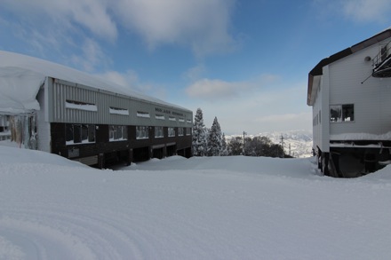 Lucy Fielding, PT GROUP, Cambridge University, Japan