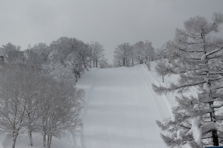 Lucy Fielding, PT GROUP, Cambridge University, Japan