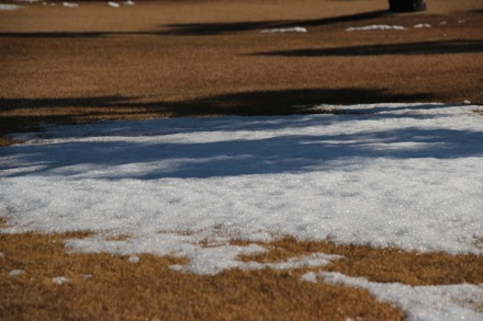 Lucy Fielding, PT GROUP, Cambridge University, Japan