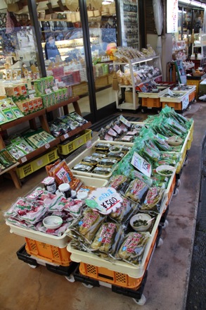 Lucy Fielding, PT GROUP, Cambridge University, Japan