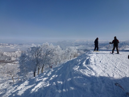 Lucy Fielding, PT GROUP, Cambridge University, Japan