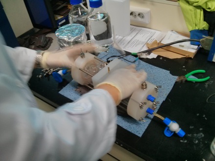 new building, Phase transformations and complex properties research group, computational metallurgy group