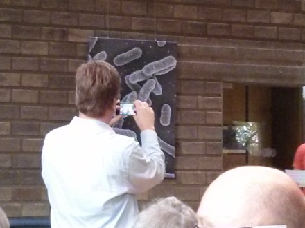 Skull, drugs, plagues, Kiyoshi Nishioka, Dan Cogswell, Arijit Laik, Nelson Mandella