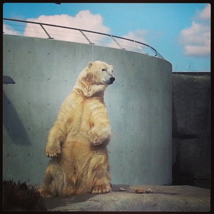 Duxford air show, red arrows, Olivine gems, steel, metallurgy, Mathew Peet, Hala Salman Hasan, Cambridge