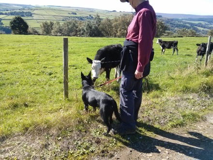 Sheffield, Moors, Andy Howe, Harry Bhadeshia, Phase transformations and complex properties research group