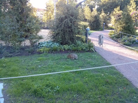 Harry Bhadeshia in Sweden, September 2013, University of the West, with Jorgen Andersson, Maria Teresa Coll Ferrari, Lars-Erik Svensson and Leif Karlsson, metallurgy, steels
