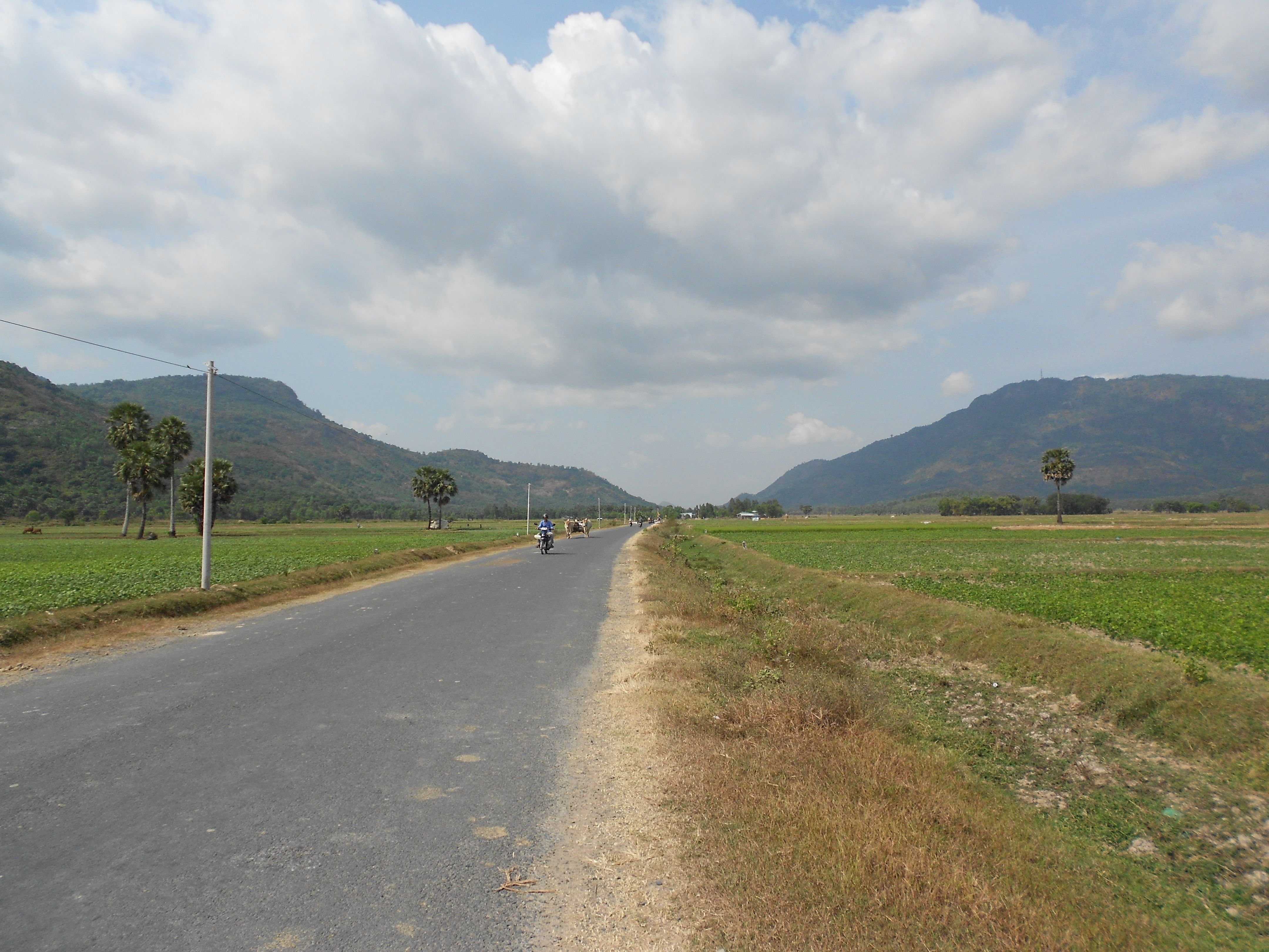 On_the_road_to_my__father_farm_2