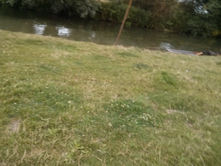 PT Group picnic, Grantchester, Cambridge, Cambridge University
