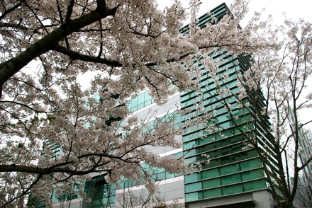 play acting, computational metallurgy group,GIFT,POSTECH,Dong Woo Suh, Eunju Song, Guensu Jung, You young Song, Soon Young Jun, Hong Yeop Lee, Van Tuan Duong, Jeong In Kim, Do Kyeong Han, Jee Young Lee, Seung Woo Seo, Harry Bhadeshia, steel, metallurgy