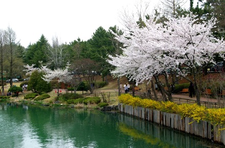 play acting, computational metallurgy group,GIFT,POSTECH,Dong Woo Suh, Eunju Song, Guensu Jung, You young Song, Soon Young Jun, Hong Yeop Lee, Van Tuan Duong, Jeong In Kim, Do Kyeong Han, Jee Young Lee, Seung Woo Seo, Harry Bhadeshia, steel, metallurgy