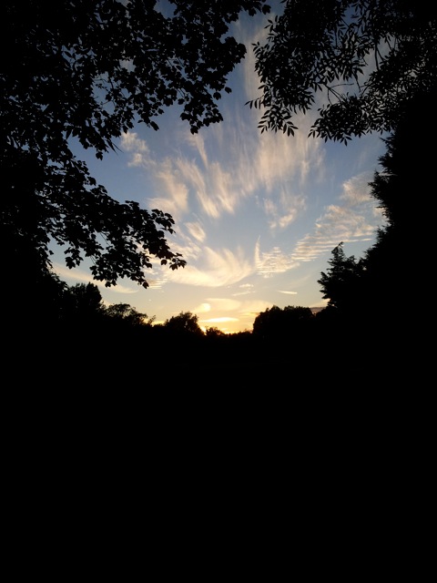 Sunset in Cambridge, Hala Salman Hasan