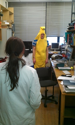 Cambridge, Korea, Japan, Ed Pickering, You Young Song, In Jeong Kim, Van Tuan Duong, Rongshan Qin