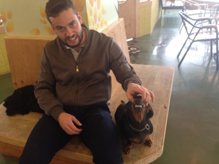 dogs, pet cafe, coffee, Nirupam Chakraborti, Harry Bhadeshia, Wilberth Solano, Nack Joon Kim, flowers, Namashkar, Indian food