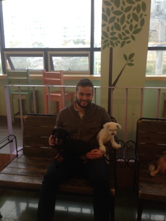 dogs, pet cafe, coffee, Nirupam Chakraborti, Harry Bhadeshia, Wilberth Solano, Nack Joon Kim, flowers, Namashkar, Indian food