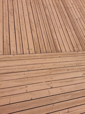 dogs, pet cafe, coffee, Nirupam Chakraborti, Harry Bhadeshia, Wilberth Solano, Nack Joon Kim, flowers, Namashkar, Indian food